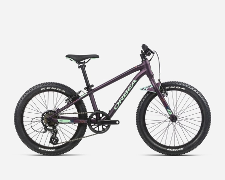 VTT Enfant MX 20 DIRT Violet/Menthe