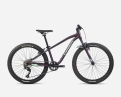 VTT Enfant MX 24 DIRT Violet/Menthe - Image 1/1